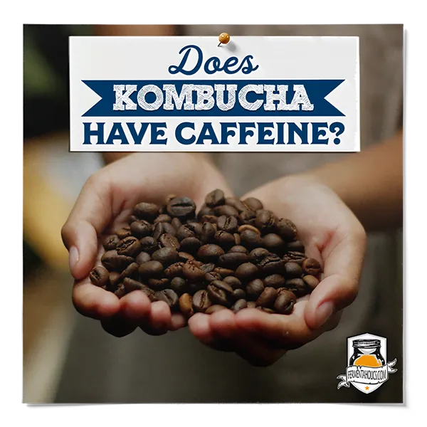 Does Kombucha Have Caffeine