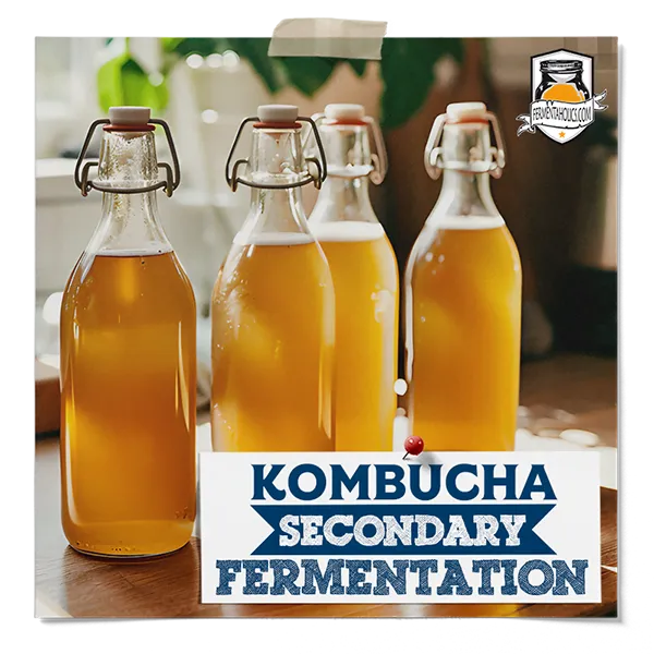 Kombucha Secondary Fermentation