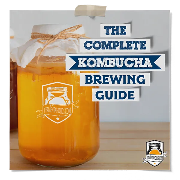 The Complete Kombucha Brewing Guide