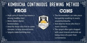 Kombucha Continuous Brewing Method Pros vs Cons