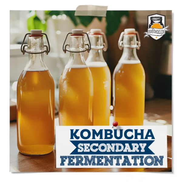 Kombucha Secondary Fermentation