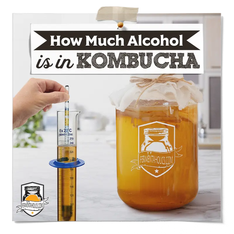 How Much Alcohol is in Kombucha