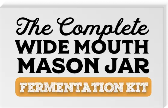 Mason Jar Fermentation Kit