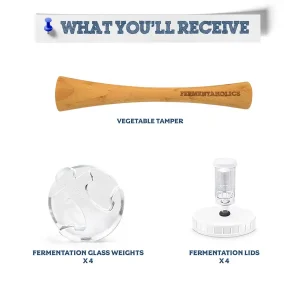 mason jar fermentation kit