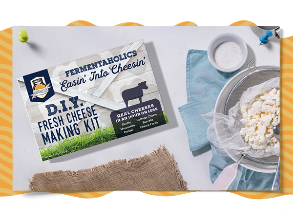 cheesemaking kit for beginners