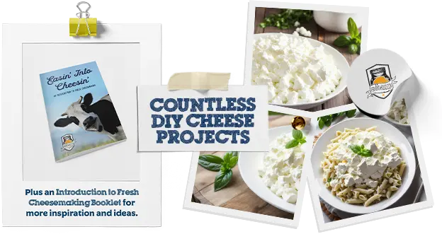 Cheesemaking Kit For Beginners
