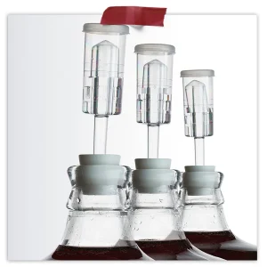 Airlock Fermentation