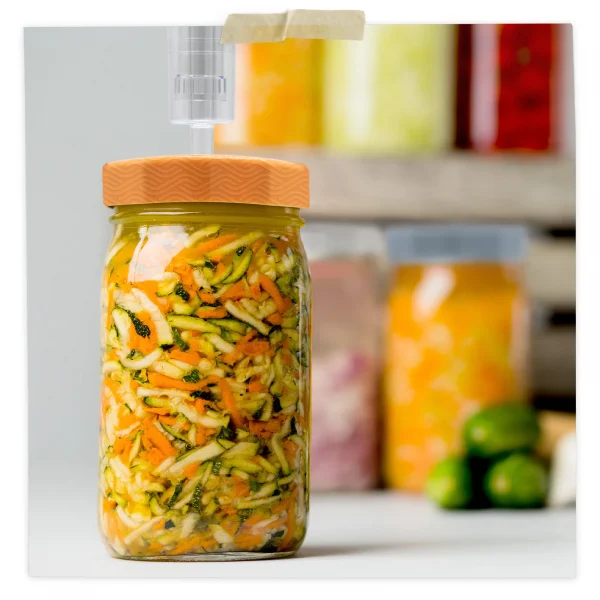 Fermenting Airlock
