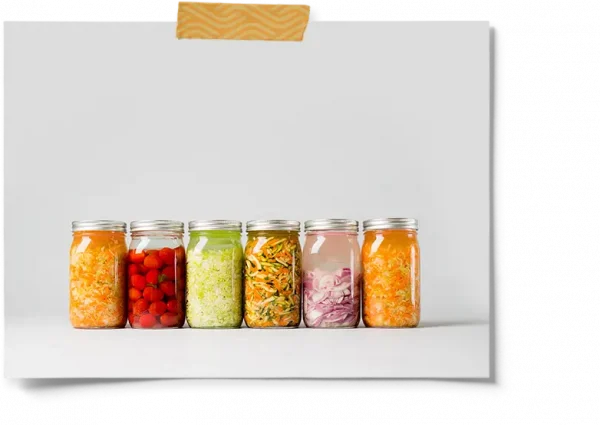 Diy Pickle Making Kit