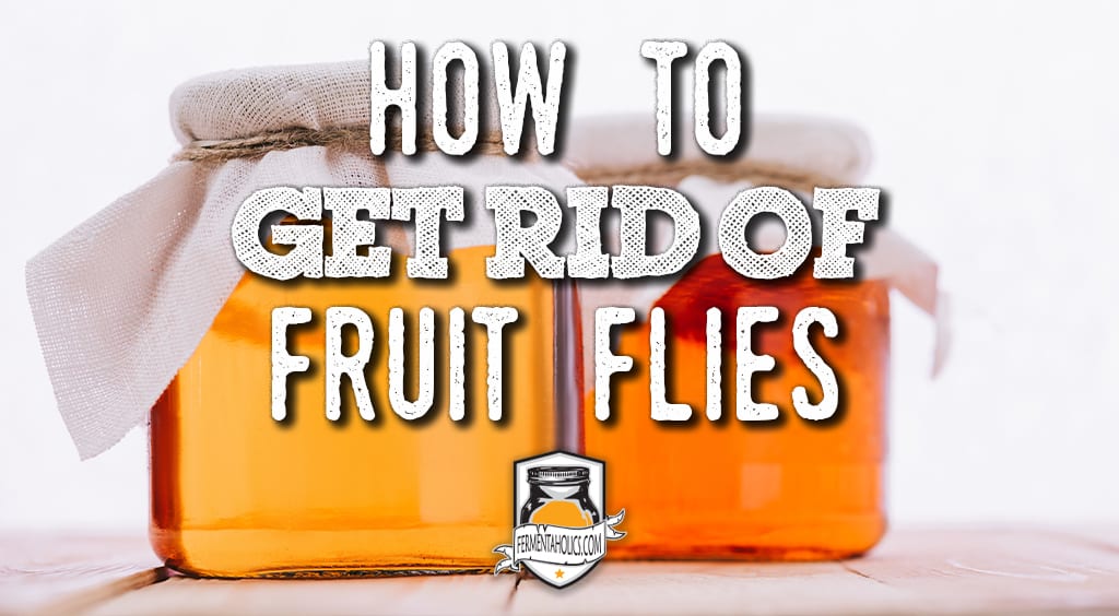 Fly Away Fruit Fly Trap Kit and 12 oz Refill Lure Fruit Fly Trap Kit