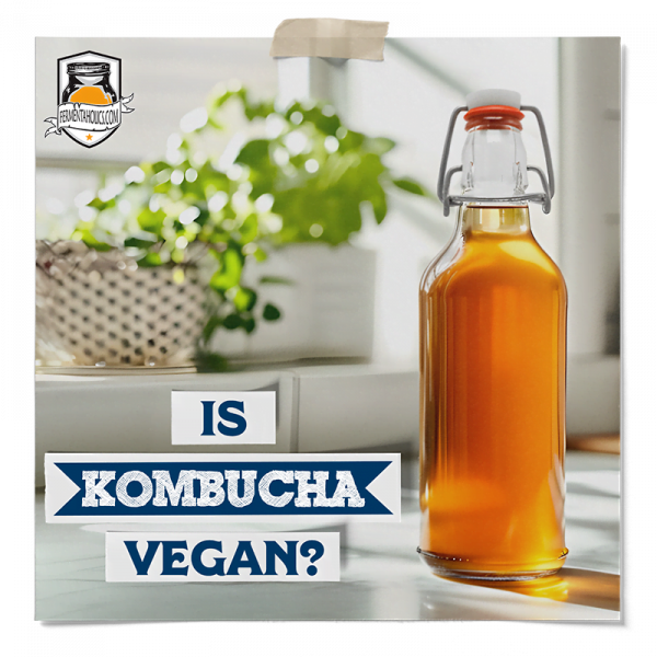 Kombucha Vegan