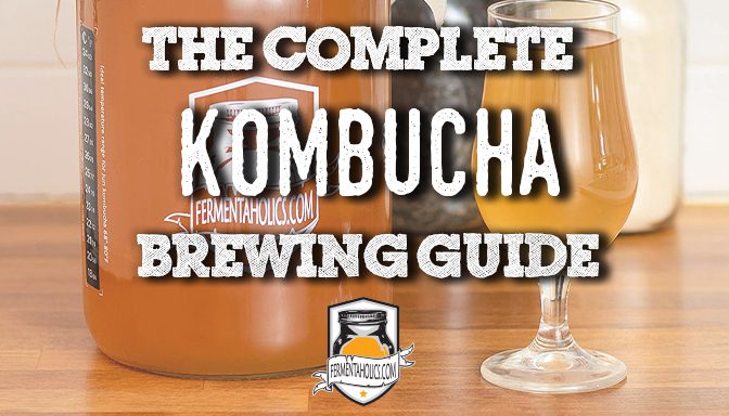 the complete kombucha brewing guide