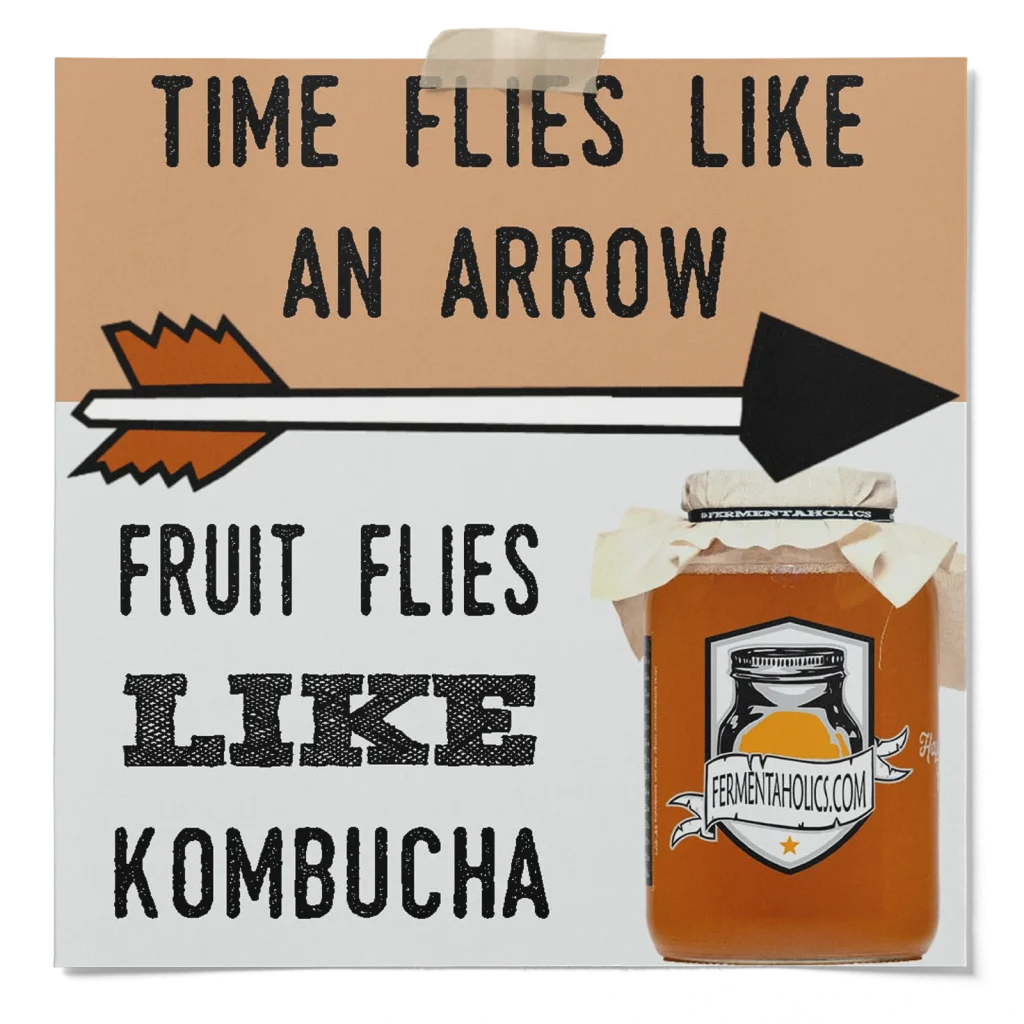 How To Get Rid Of Fruit Flies