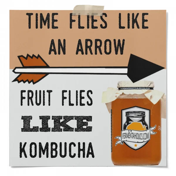How To Get Rid Of Fruit Flies