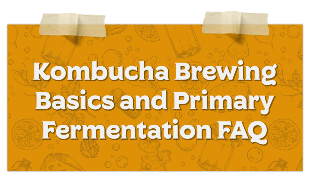 Kombucha Brewing Basics Primary Fermentation Faq
