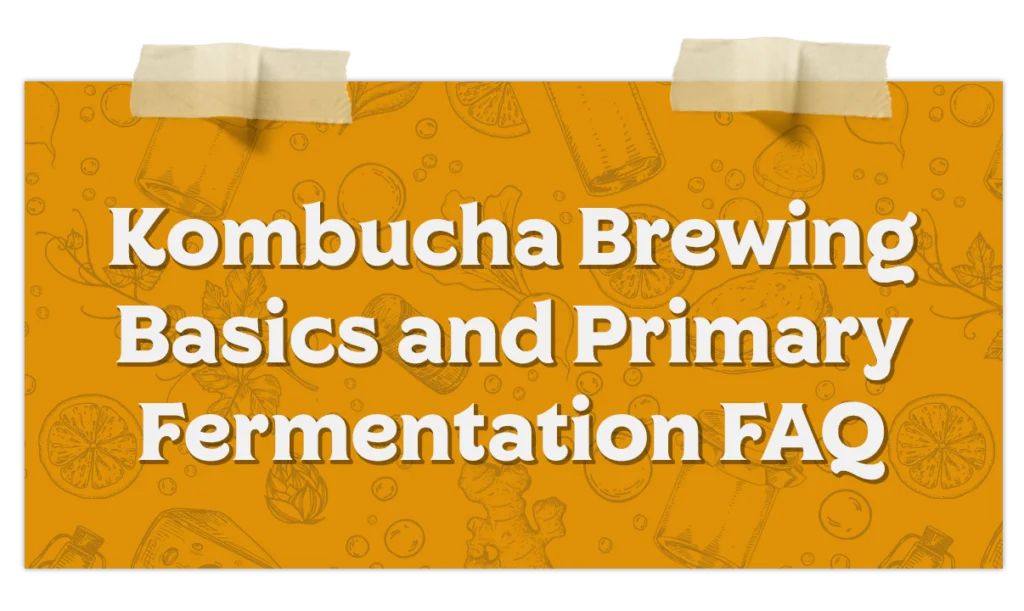 Kombucha Brewing Basics Primary Fermentation Faq