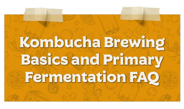 Kombucha Brewing Basics Primary Fermentation Faq