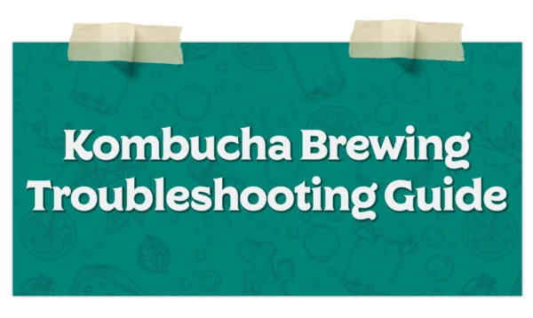 Kombucha Brewing Troubleshooting Guide​