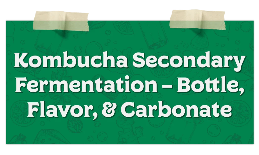 Kombucha Secondary Fermentation – Bottle Flavor Carbonate​