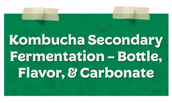 Kombucha Secondary Fermentation – Bottle Flavor Carbonate​