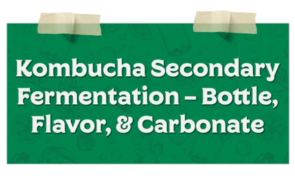 Kombucha Secondary Fermentation – Bottle Flavor Carbonate​