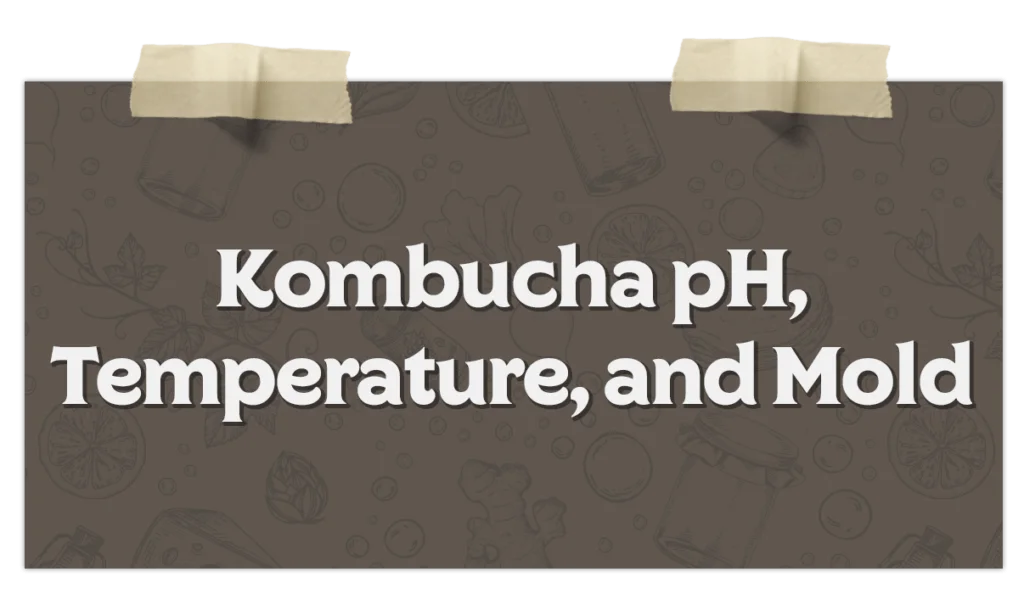 Kombucha Ph Temperature And Mold