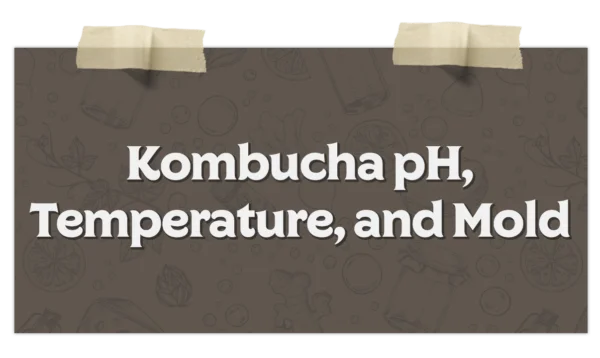 Kombucha Ph Temperature And Mold
