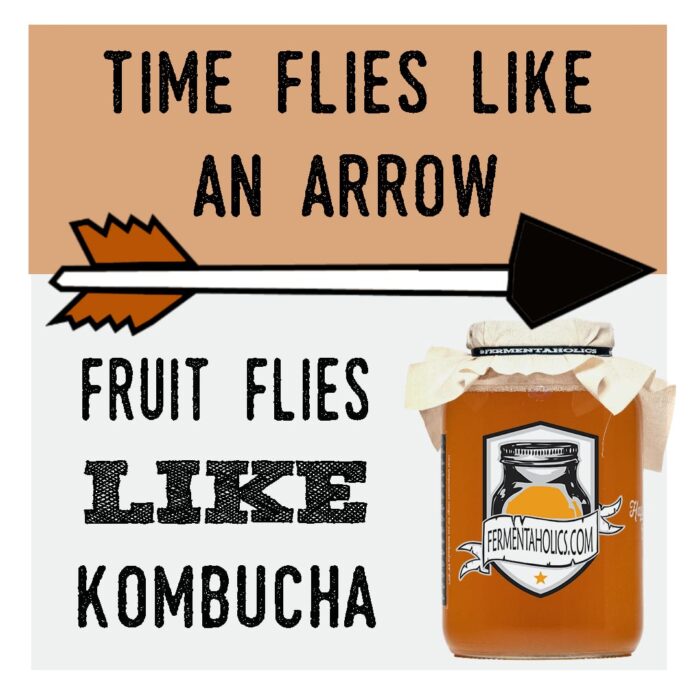 Getting Rid of Fruit Flies in Kombucha Eliminate The Pest