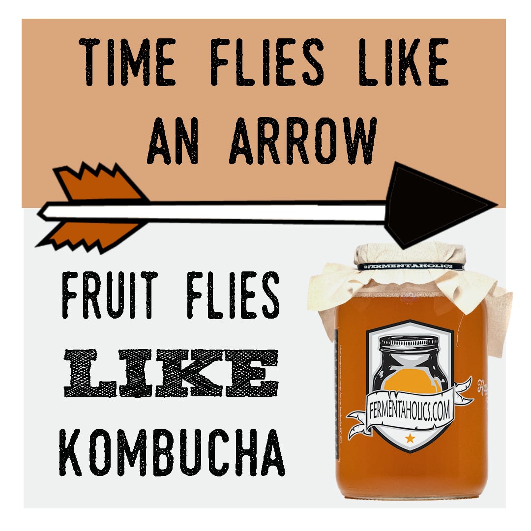 Kombucha Brewing - How To Get Rid of Fruit Flies? - Fermentaholics