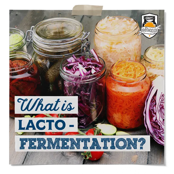 What Is Lacto-Fermentation
