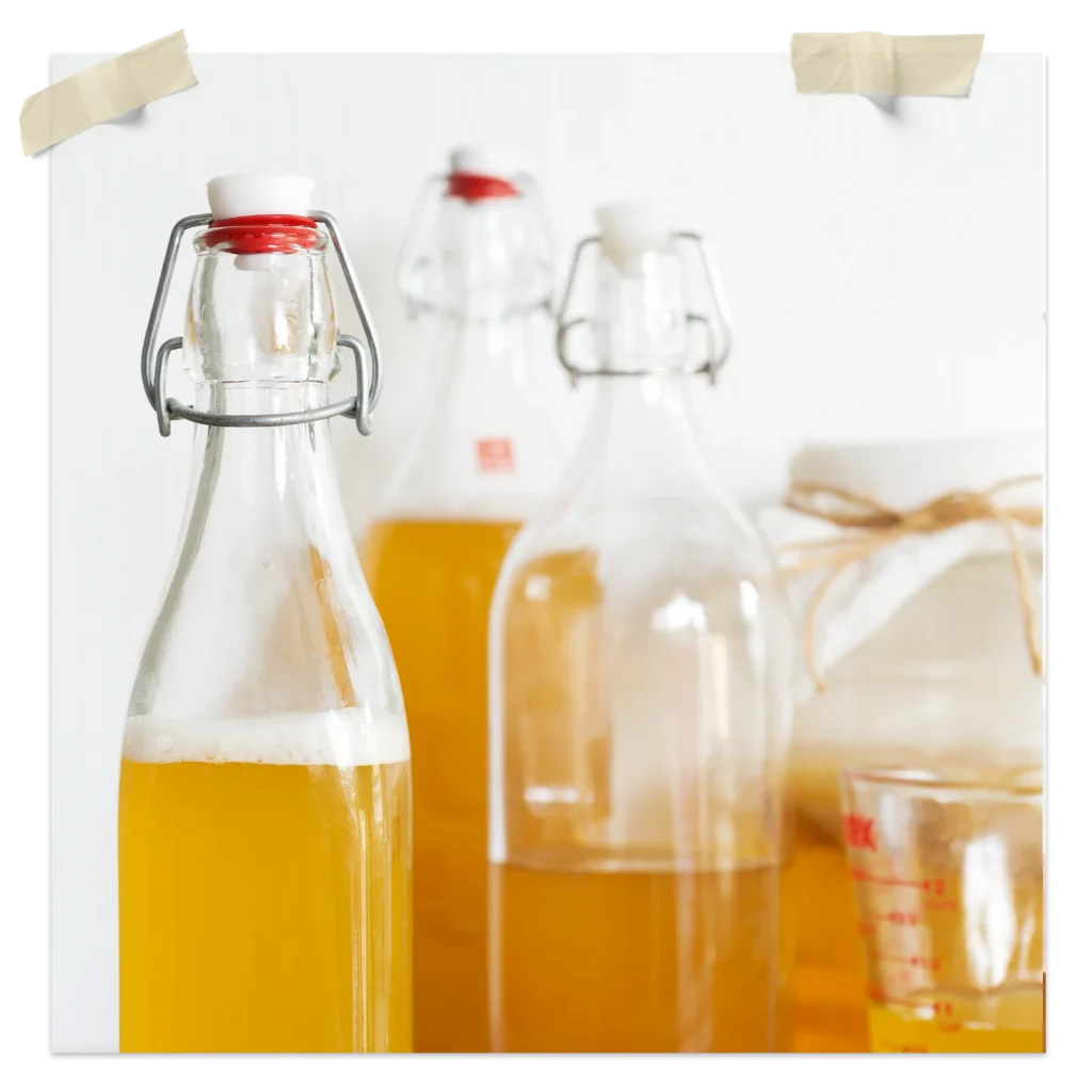 Why Are Fruit Flies Attracted To Kombucha