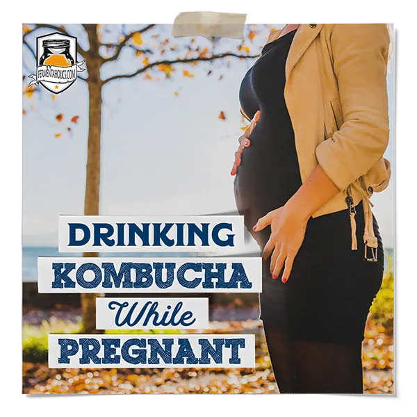 Can You Drink Kombucha While Pregnant