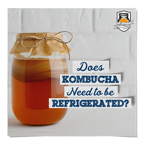 Does Kombucha Need To Be Refrigerated