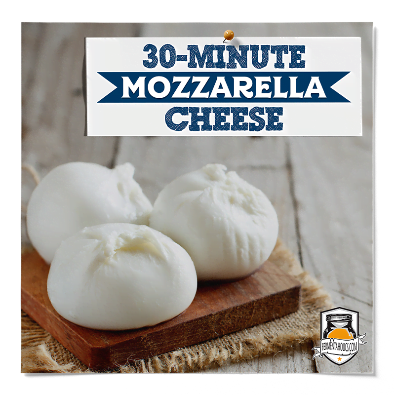 how to make mozzarella cheese