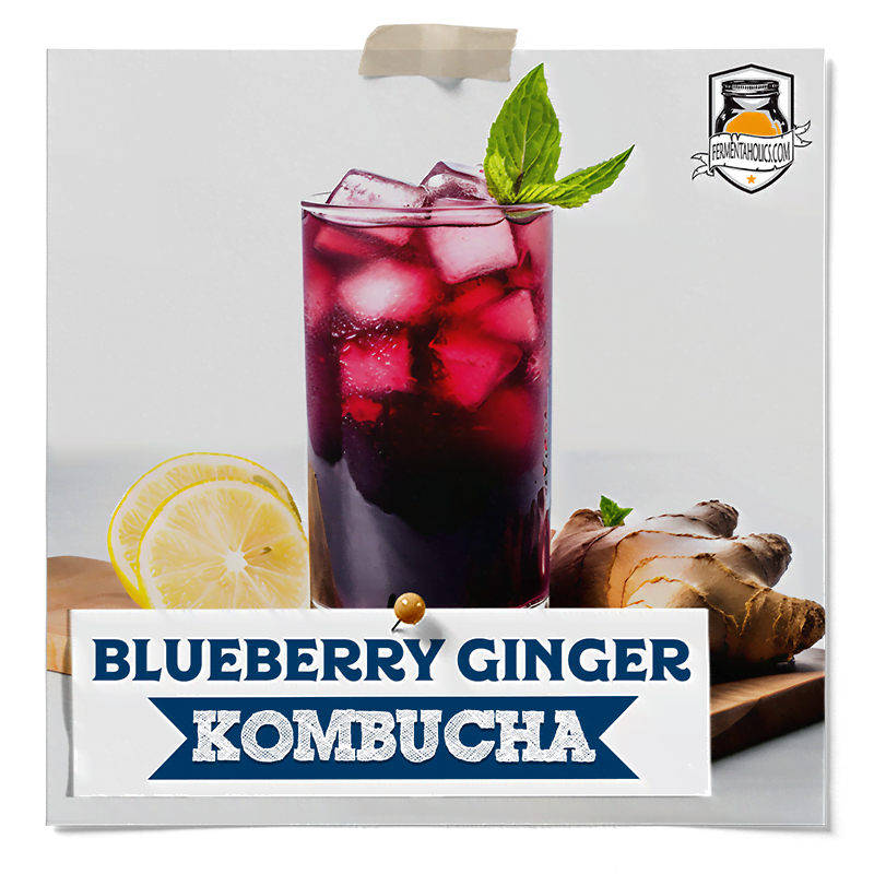 kombucha blueberry ginger