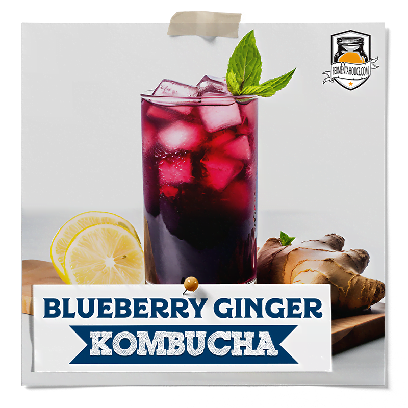 kombucha blueberry ginger