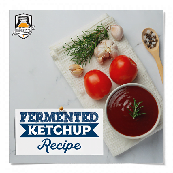 Fermented Ketchup Recipe