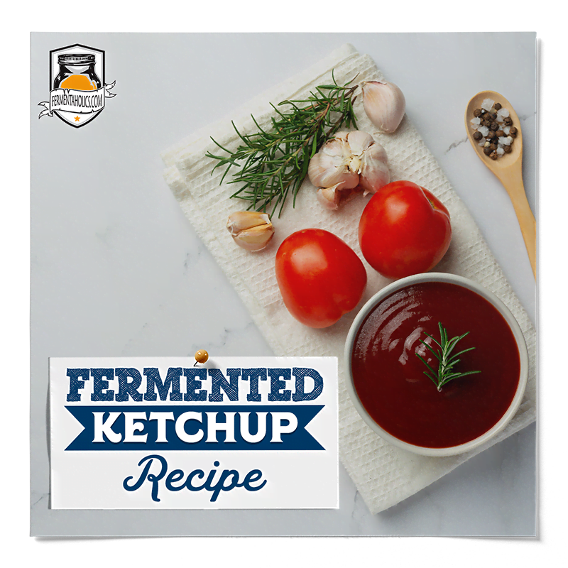 fermented ketchup recipe