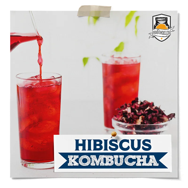 hibiscus kombucha recipe