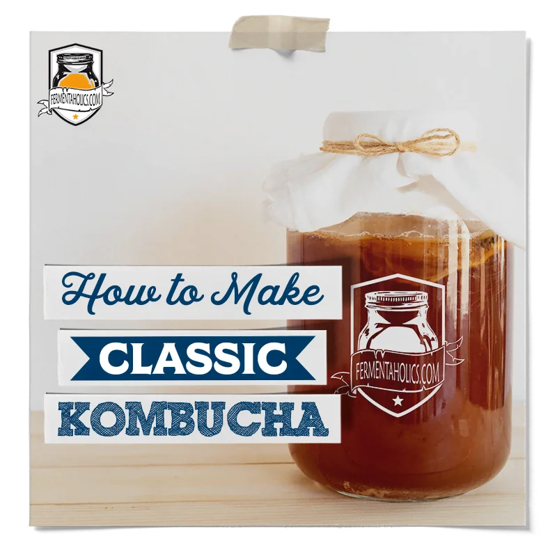 classic kombucha