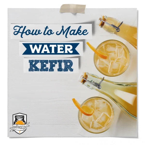 How To Make Water Kefir