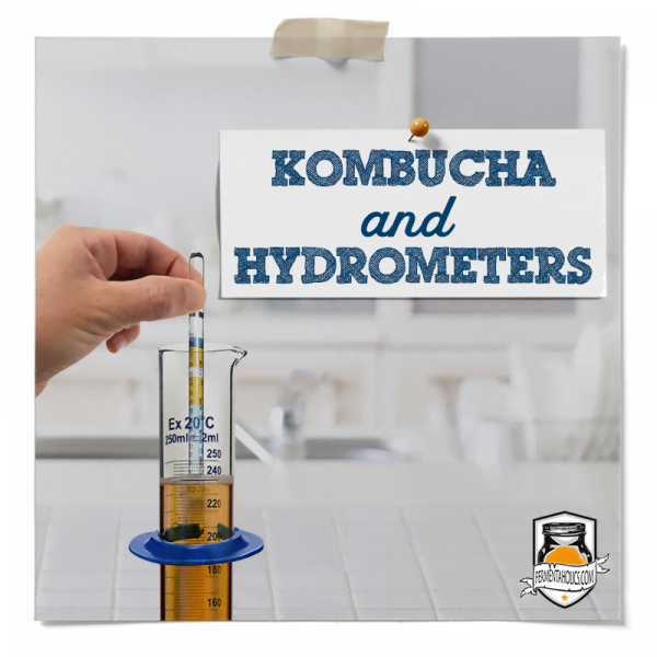 How To Use A Hydrometer For Kombucha