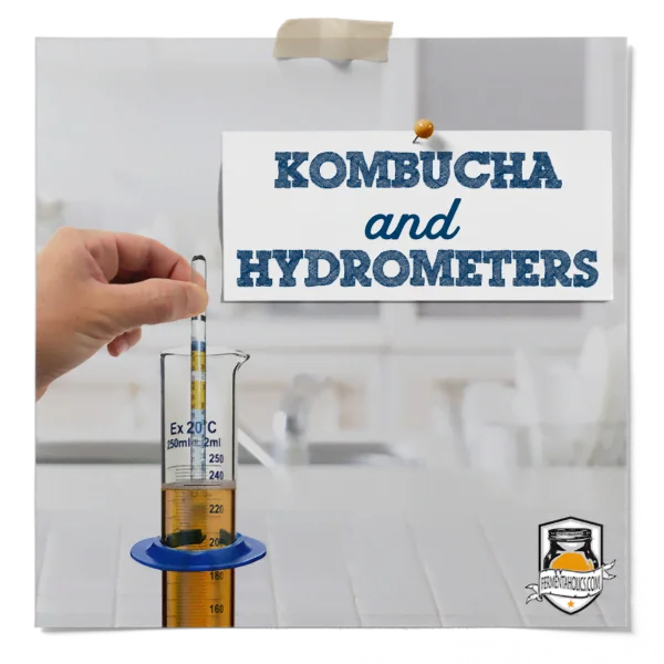 How To Use A Hydrometer For Kombucha