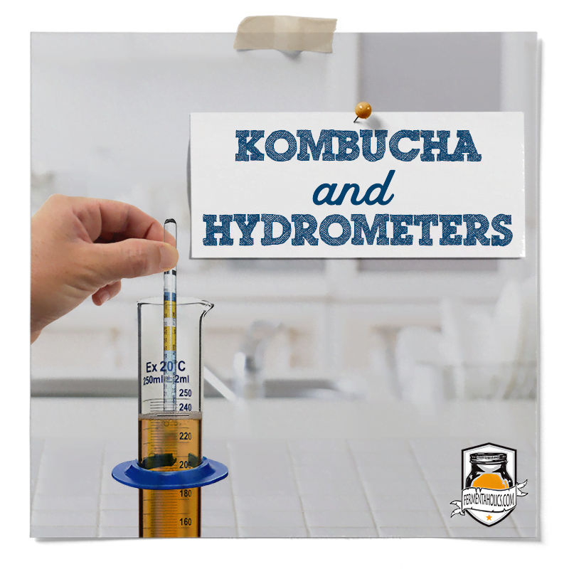 how to use a hydrometer for kombucha