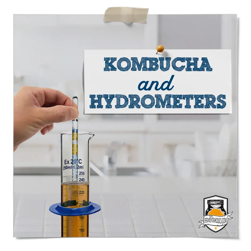 How To Use A Hydrometer For Kombucha