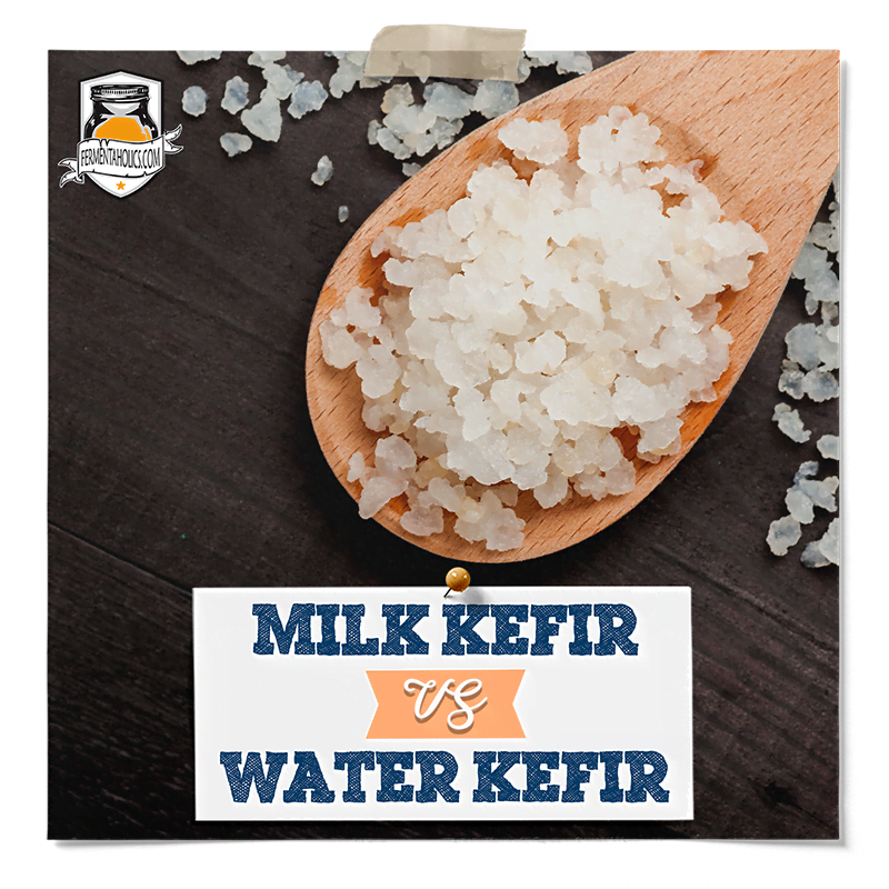 milk kefir vs water kefir