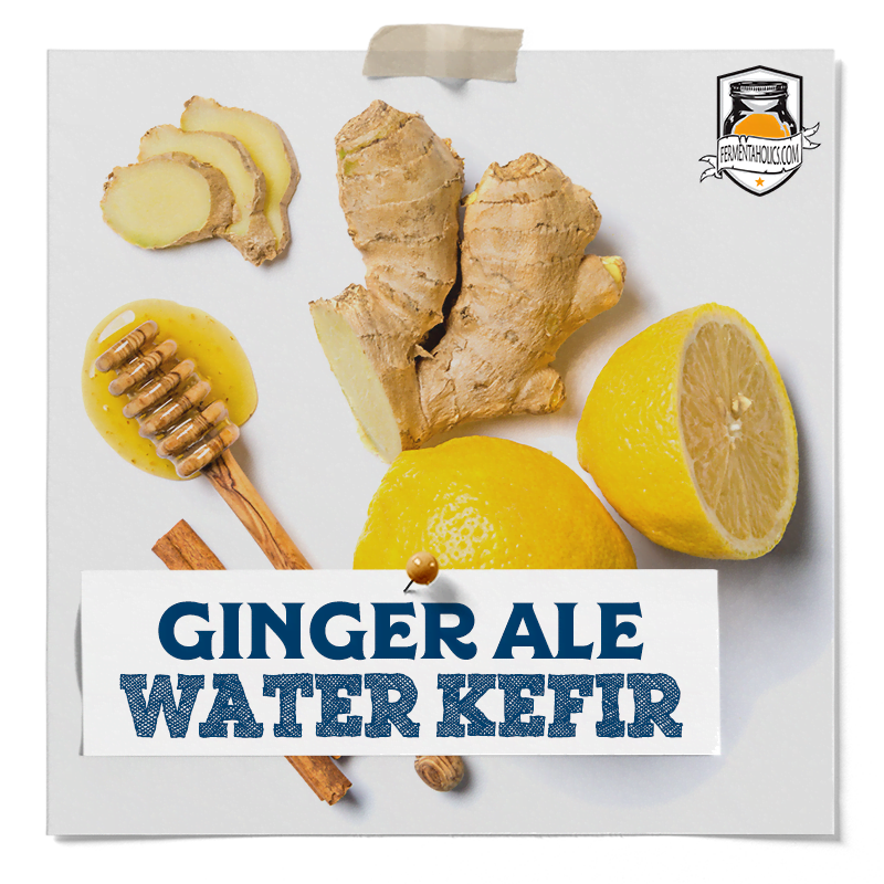 water kefir ginger ale