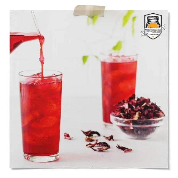 Hibiscus Kombucha