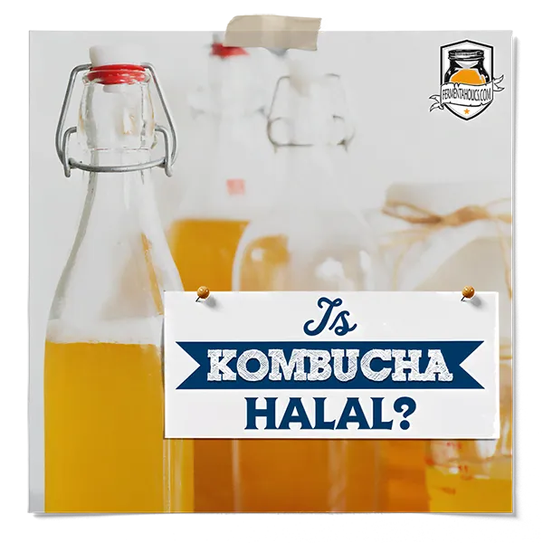 Is Kombucha Halal
