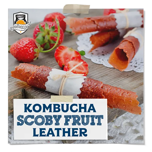 How To Make SCOBY Fruit Leather A Probiotic Packed Zero Waste Snack How To Make SCOBY Fruit Leather A Probiotic Packed Zero Waste Snack